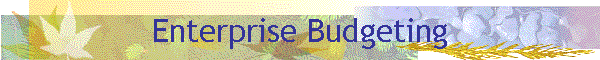 Enterprise Budgeting