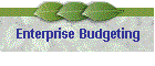 Enterprise Budgeting