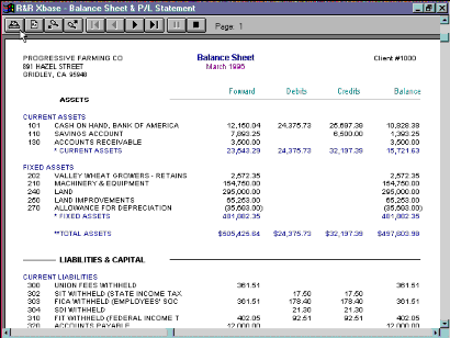 Screen Preview of Balance Sheet